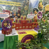 Tin trong nước - Phát triển bền vững đang trở thành xu thế tất yếu