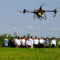 Tin trong nước - Triển khai Đề án phát triển 1 triệu ha chuyên canh lúa chất lượng cao và vai trò của khuyến nông cộng đồng
