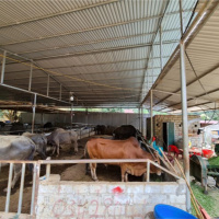 Tin trong nước - Bắc Kạn: Tập trung triển khai chương trình Mục tiêu quốc gia 