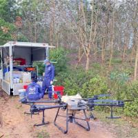 Tin trong nước - Sốt ruột vì cao su bị bệnh lạ, lan nhanh chưa được ngăn chặn 