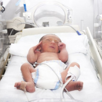 Tin quốc tế - Các nhà khoa học Australia cảnh báo các tác động nguy hại biến đổi khí hậu đối với thai nhi