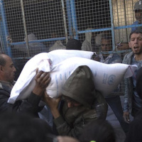 Tin quốc tế - Theo chân Mỹ, nhiều quốc gia phương Tây dừng tài trợ cho cơ quan tị nạn Liên hợp quốc tại Gaza