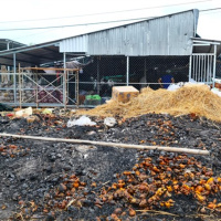 Tin trong nước - Cà Mau: Tiểu thương bức xúc vì phải chở rác ở chợ về nhà đổ 