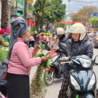 Tin trong nước - Chợ ngày 30 Tết ở Sơn La hối hả từ sáng sớm