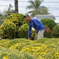 Tin trong nước - Người dân mong ước năm mới kinh tế phục hồi, phát triển 