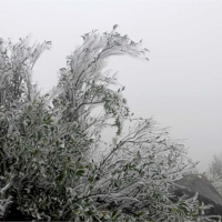 Tin trong nước - Nhiều nơi dưới 5 độ C, các tỉnh miền núi Đông Bắc ứng phó rét đậm, rét hại