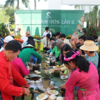 Tin trong nước - Người dân diện áo dài du xuân