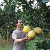 Tin trong nước - Thanh Hoá: Thực hiện nhiều chương trình, dự án thiết thực, thúc đẩy giảm nghèo bền vững