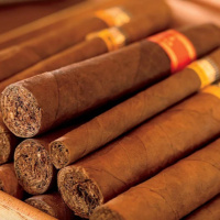 Tin quốc tế - Cuba: Ngành xì gà bùng nổ doanh số bán hàng