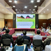 Tin trong nước - Phát triển Tây Nguyên cần cân đối sử dụng nguồn nước hợp lý 