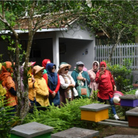 Tin quốc tế - Du lịch xanh- Xu hướng và Mục tiêu chiến lược của Indonesia 2024 