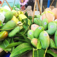 Tin trong nước - An Giang: Lễ công bố xuất khẩu lô xoài tượng da xanh đầu tiên sang thị trường Australia và Hoa Kỳ