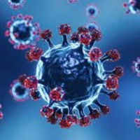 Tin trong nước - Không lơi là trước biến thể phụ của Omicron