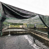 Tin trong nước - Cao Bằng: Mô hình kinh tế mới từ nuôi cá nước lạnh