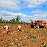 Tin trong nước - Hợp tác công tư (PPP): xây dựng vùng nguyên liệu nông sản bền vững