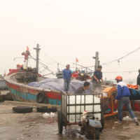 Tin trong nước - Ngư dân Thừa Thiên Huế hối hả vươn khơi “kiếm Tết”