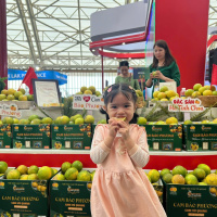 Tin trong nước - Nhiều nông đặc sản cháy hàng tại Hội chợ mùa thu lần thứ nhất 2025