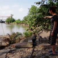 Tin trong nước - Công bố tình huống khẩn cấp sự cố sạt lở bờ sông tại huyện Cầu Ngang, Trà Vinh
