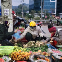 Tin trong nước - Mưu sinh ngày giá rét ở chợ đầu mối Sơn La