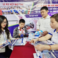 Tin trong nước - Đà Nẵng: 4500 học sinh, người lao động tham gia Ngày hội tư vấn, tuyển sinh giáo dục nghề nghiệp