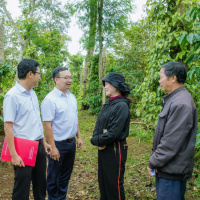 Tin trong nước - Mở rộng cơ hội tài chính đến từng buôn làng