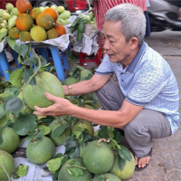 Tin trong nước - Trái cây mâm ngũ quả, giá giảm nhưng sức mua yếu