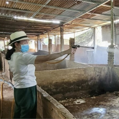 Vov - Viêt Nam Va Thê Gii