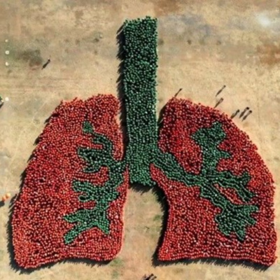 Vov - Viêt Nam Va Thê Gii