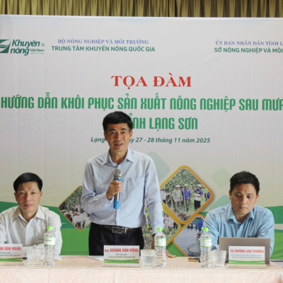 Vov - Viêt Nam Va Thê Gii