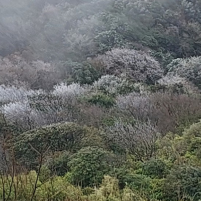 Vov - Viêt Nam Va Thê Gii