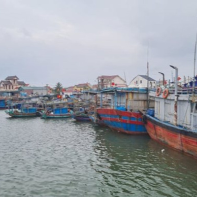 Vov - Viêt Nam Va Thê Gii