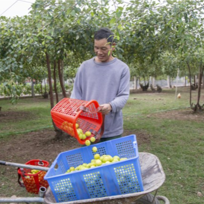 Vov - Viêt Nam Va Thê Gii