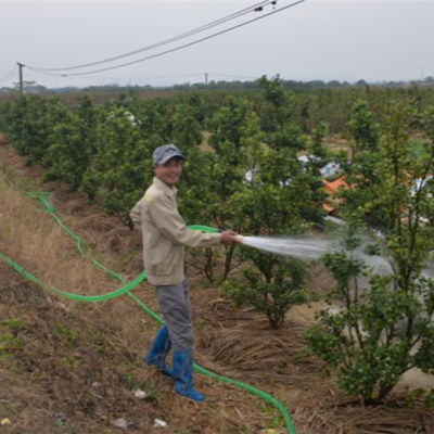 Vov - Viêt Nam Va Thê Gii