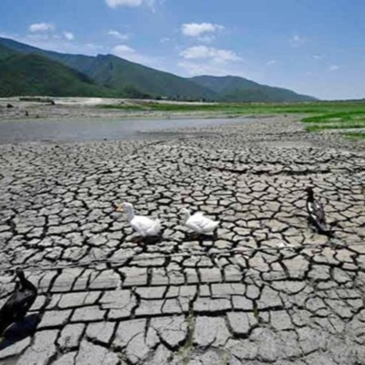 Vov - Viêt Nam Va Thê Gii