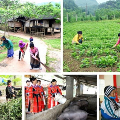 Vov - Viêt Nam Va Thê Gii