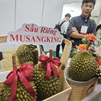 Vov - Viêt Nam Va Thê Gii