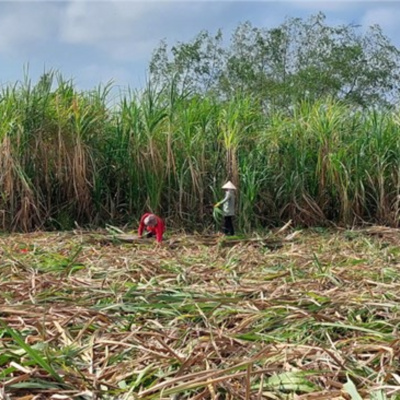 Vov - Viêt Nam Va Thê Gii