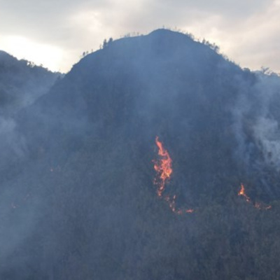 Vov - Viêt Nam Va Thê Gii