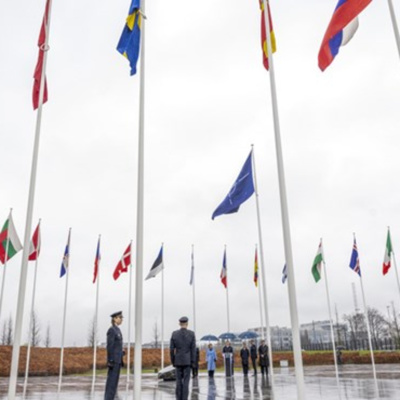 Vov - Viêt Nam Va Thê Gii