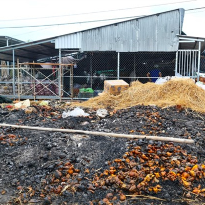 Vov - Viêt Nam Va Thê Gii