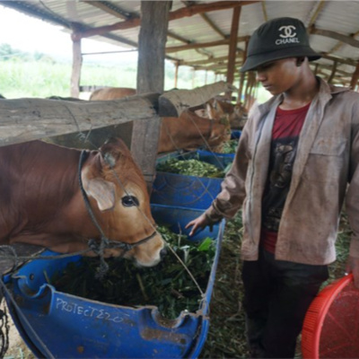Vov - Viêt Nam Va Thê Gii