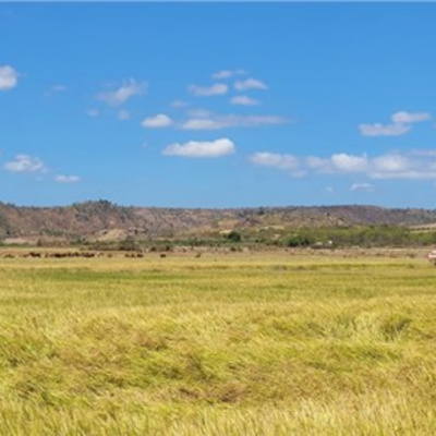 Vov - Viêt Nam Va Thê Gii