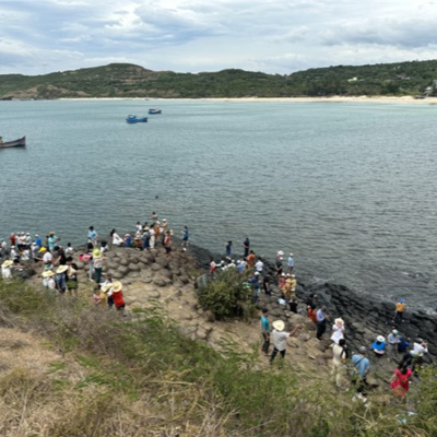 Vov - Viêt Nam Va Thê Gii