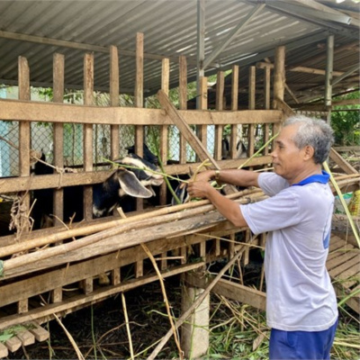 Vov - Viêt Nam Va Thê Gii