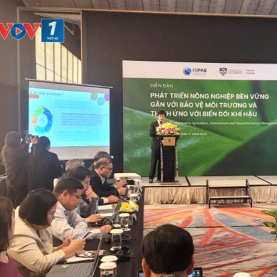 Vov - Viêt Nam Va Thê Gii