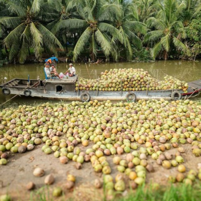 Vov - Viêt Nam Va Thê Gii