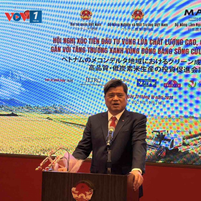 Vov - Viêt Nam Va Thê Gii