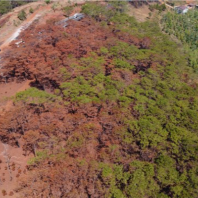 Vov - Viêt Nam Va Thê Gii