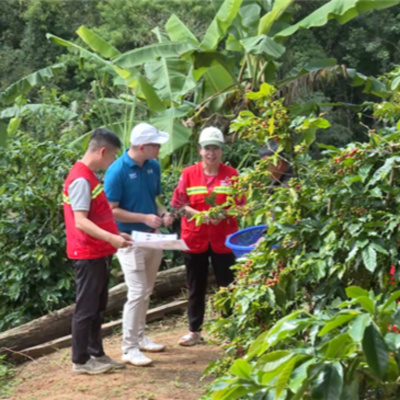 Vov - Viêt Nam Va Thê Gii