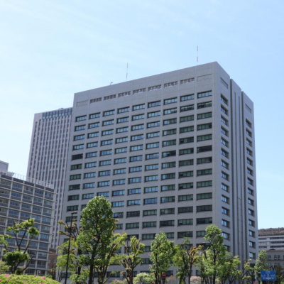 Vov - Viêt Nam Va Thê Gii